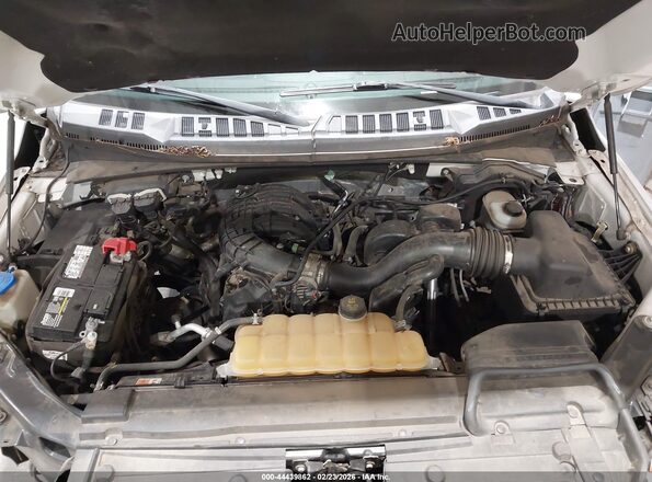 1FTMF1E80GKD92268 2016 FORD F150 Белый Вид сзади
