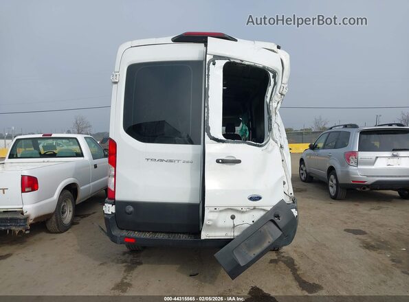 1FTYR2CM5KKA61418 2019 FORD TRANSIT-250 Белый 