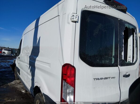 1FTYR2CM6KKB54920 2019 FORD TRANSIT-250 Белый Задняя левая четверть