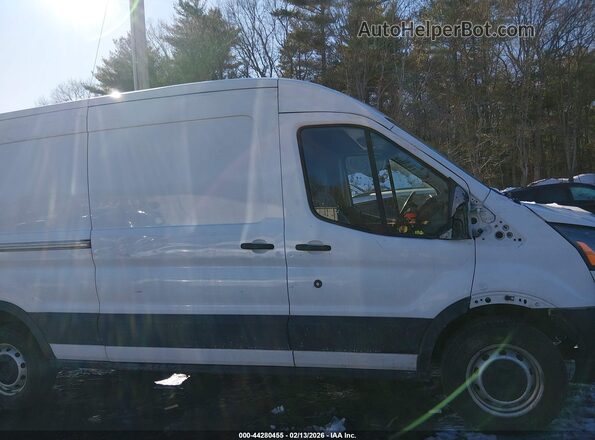 1FTYR2CM6KKB54920 2019 FORD TRANSIT-250 Белый Вид задней части салона