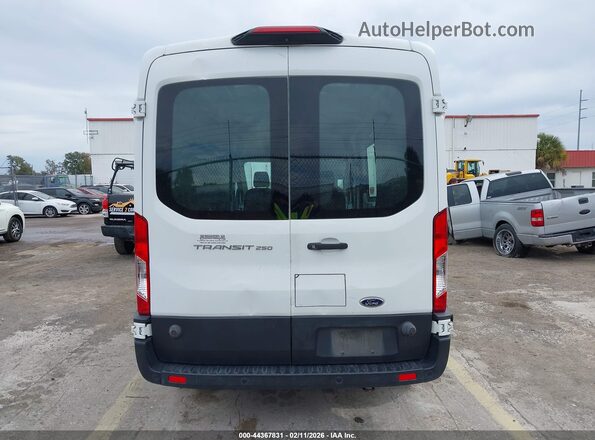 1FTYR2CMXKKB66505 2019 FORD TRANSIT-250 Белый 