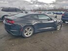 2021 Chevrolet Camaro Ls Black vin: 1G1FB1RSXM0103777