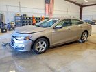 1G1ZB5ST6SF113546