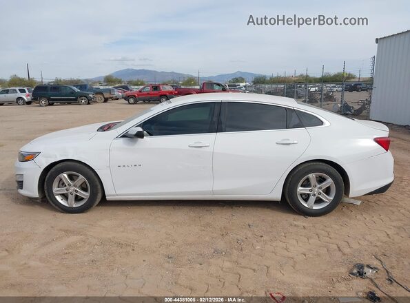 1G1ZC5ST2LF136448 2020 CHEVROLET MALIBU Белый Панорамный вид салона 360°