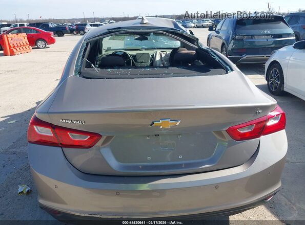 1G1ZD5ST8RF218822 2024 CHEVROLET MALIBU Желто-коричневый 