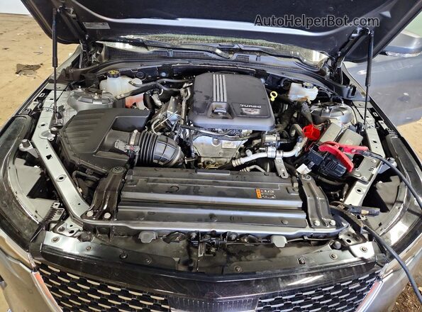 1G6DF5RK4N0106916 2022 CADILLAC CT4 Серый Вид задней части салона