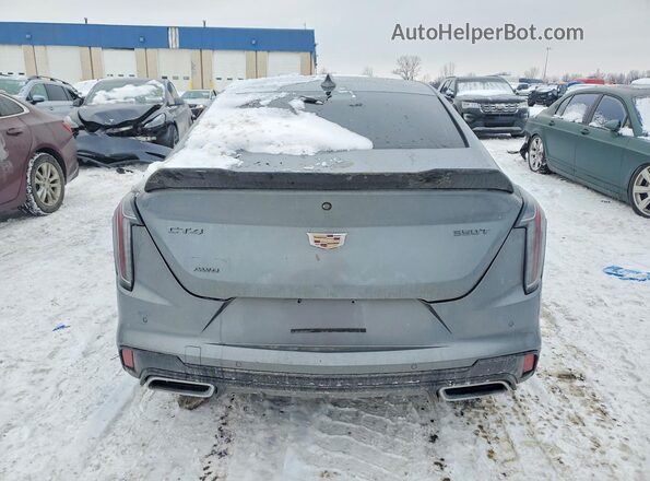 1G6DG5RK7L0133019 2020 CADILLAC CT4 Серый Вид сзади