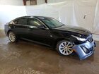 2023 Cadillac Ct5 Luxury Черный vin: 1G6DM5RK1P0156844