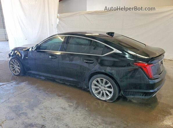 1G6DM5RK1P0156844 2023 CADILLAC CT5 Черный Задняя левая четверть