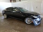 2023 Cadillac Ct5 Luxury Черный vin: 1G6DM5RK1P0156844 Damage: Right Front Fender, Misaligned, Repair Required