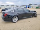 2024 Cadillac Ct5 Luxury Black vin: 1G6DM5RK8R0109345