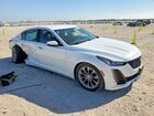 2023 Cadillac Ct5 Premium Luxury Белый vin: 1G6DN5RK4P0138884