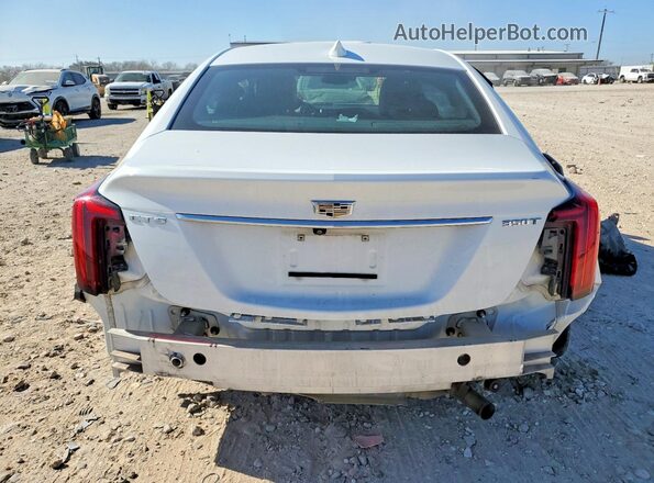 1G6DN5RK4P0138884 2023 CADILLAC CT5 Белый Вид сзади