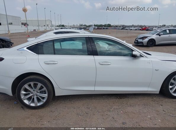 1G6DN5RK6S0110352 2025 CADILLAC CT5 Белый Вид задней части салона