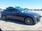 2024 Cadillac Ct5 Premium Luxury Purple vin: 1G6DN5RK9R0125437