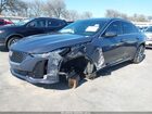 2024 Cadillac Ct5 Premium Luxury Purple vin: 1G6DN5RK9R0125437