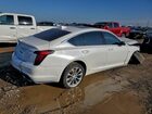 2023 Cadillac Ct5 Luxury White vin: 1G6DS5RK2P0109943
