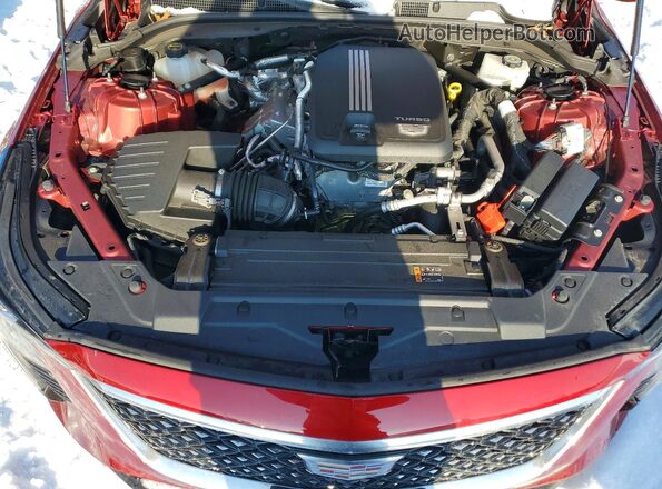 1G6DS5RK8S0104741 2025 CADILLAC CT5 Красный Вид задней части салона