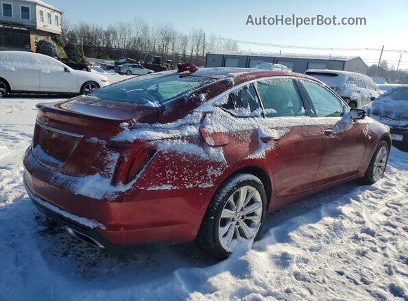 1G6DS5RK8S0104741 2025 CADILLAC CT5 Красный Задняя правая четверть
