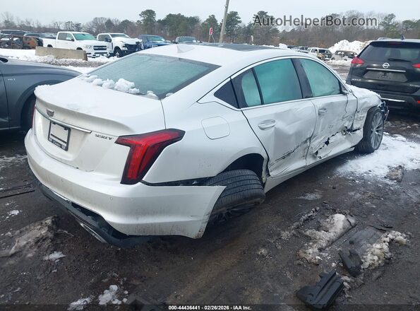 1G6DS5RW1P0156951 2023 CADILLAC CT5 White Tył prawy