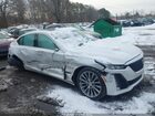 2023 Cadillac Ct5 Premium Luxury White vin: 1G6DS5RW1P0156951