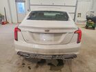 2022 Cadillac Ct5 Premium Luxury Белый vin: 1G6DT5RW0N0127161