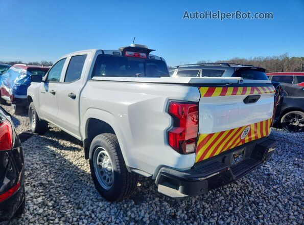 1GCGSBEC5P1229530 2023 CHEVROLET COLORADO White Задня ліва чверть
