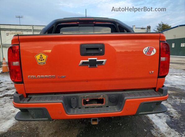 1GCGTCEN0K1233885 2019 CHEVROLET COLORADO Оранжевый Вид сзади