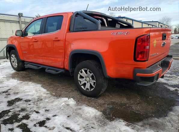 1GCGTCEN0K1233885 2019 CHEVROLET COLORADO Оранжевый Задняя левая четверть
