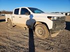 2023 Chevrolet Colorado Белый vin: 1GCPTBEK3P1269559