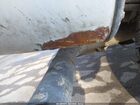 2022 Chevrolet Express Cargo Rwd 2500 Regular Wheelbase Wt White vin: 1GCWGAF76N1278080