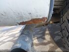 2022 Chevrolet Express Cargo Rwd 2500 Regular Wheelbase Wt White vin: 1GCWGAF76N1278080
