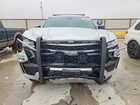 2023 Chevrolet Tahoe K1500 Серебряный vin: 1GNSKLED0PR436067