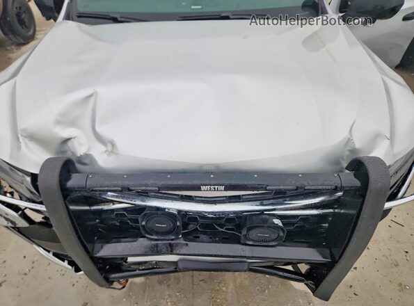1GNSKLED0PR436067 2023 CHEVROLET TAHOE Серебряный Вид подкапотного пространства