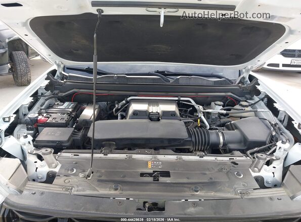 1GTP6BEK3R1135550 2024 GMC CANYON White Widok z tyłu