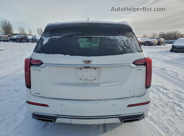 1GYKPDRS2LZ155658 2020 CADILLAC OTHER Белый Вид сзади
