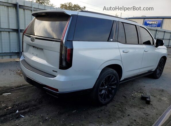 1GYS4GKL8PR239180 2023 CADILLAC ESCALADE Белый Задняя правая четверть