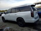 2023 Cadillac Escalade Sport Platinum Белый vin: 1GYS4GKL8PR239180