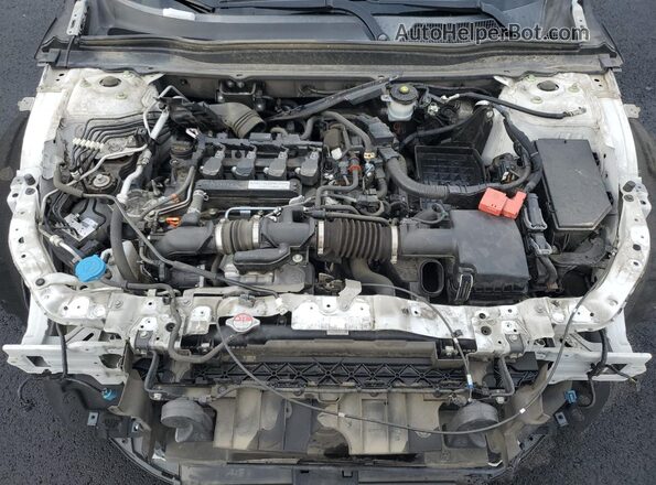 1HGCV1F19KA159926 2019 HONDA ACCORD Белый Вид задней части салона