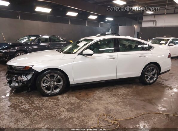 1HGCY1F32RA068161 2024 HONDA ACCORD Белый 