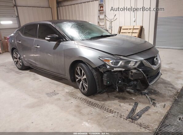 1N4AA6AP5GC381522 2016 NISSAN MAXIMA Серебряный Передняя правая четверть