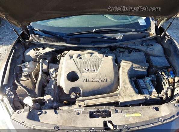 1N4AA6AP6GC385272 2016 NISSAN MAXIMA Коричневый Вид сзади