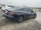 2019 Nissan Maxima 3.5 Sl Black vin: 1N4AA6AV3KC362555