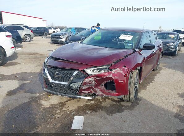 1N4AA6AV5KC376456 2019 NISSAN MAXIMA Красный Вид спереди