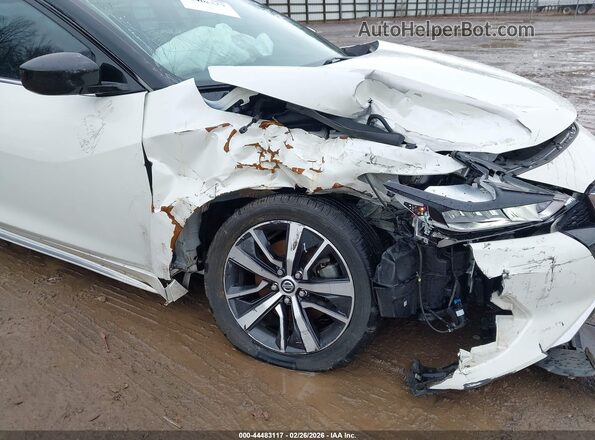 1N4AA6AV6KC370102 2019 NISSAN MAXIMA Белый Вид спереди
