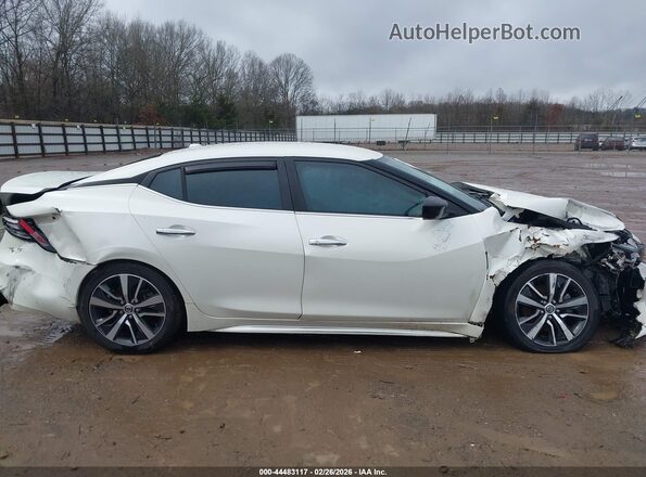 1N4AA6AV6KC370102 2019 NISSAN MAXIMA Белый Вид задней части салона