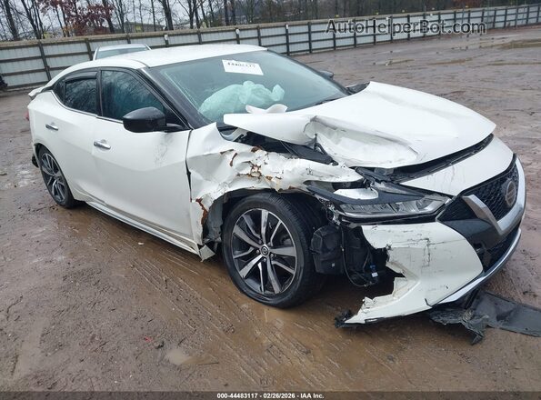 1N4AA6AV6KC370102 2019 NISSAN MAXIMA Белый Передняя правая четверть