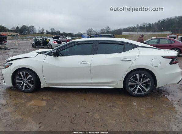 1N4AA6AV6KC370102 2019 NISSAN MAXIMA Белый Панорамный вид салона 360°