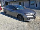 2019 Nissan Maxima S Gray vin: 1N4AA6AV7KC373414