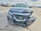 2019 Nissan Maxima Серый vin: 1N4AA6AV7KC381495